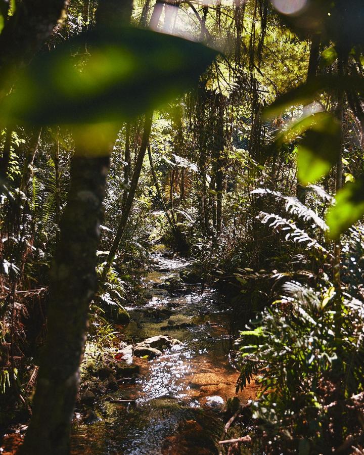 Pousada Do Cedro Santo Antônio do Pinhal Eksteriør billede